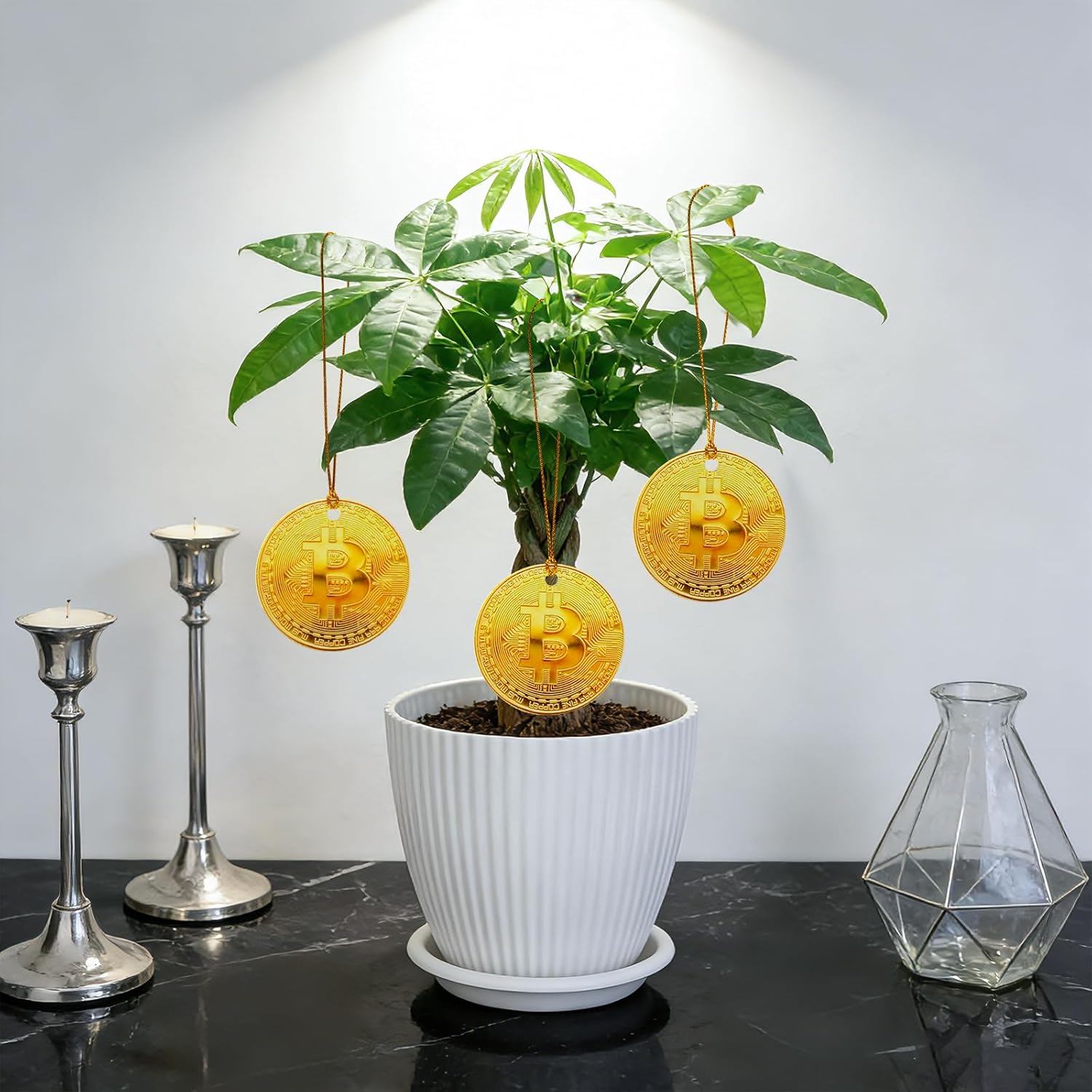 Money Tree Live Plants, Easy to Grow Indoor Houseplants in 4-Inch White Plastic Pot, with Decorative Card A