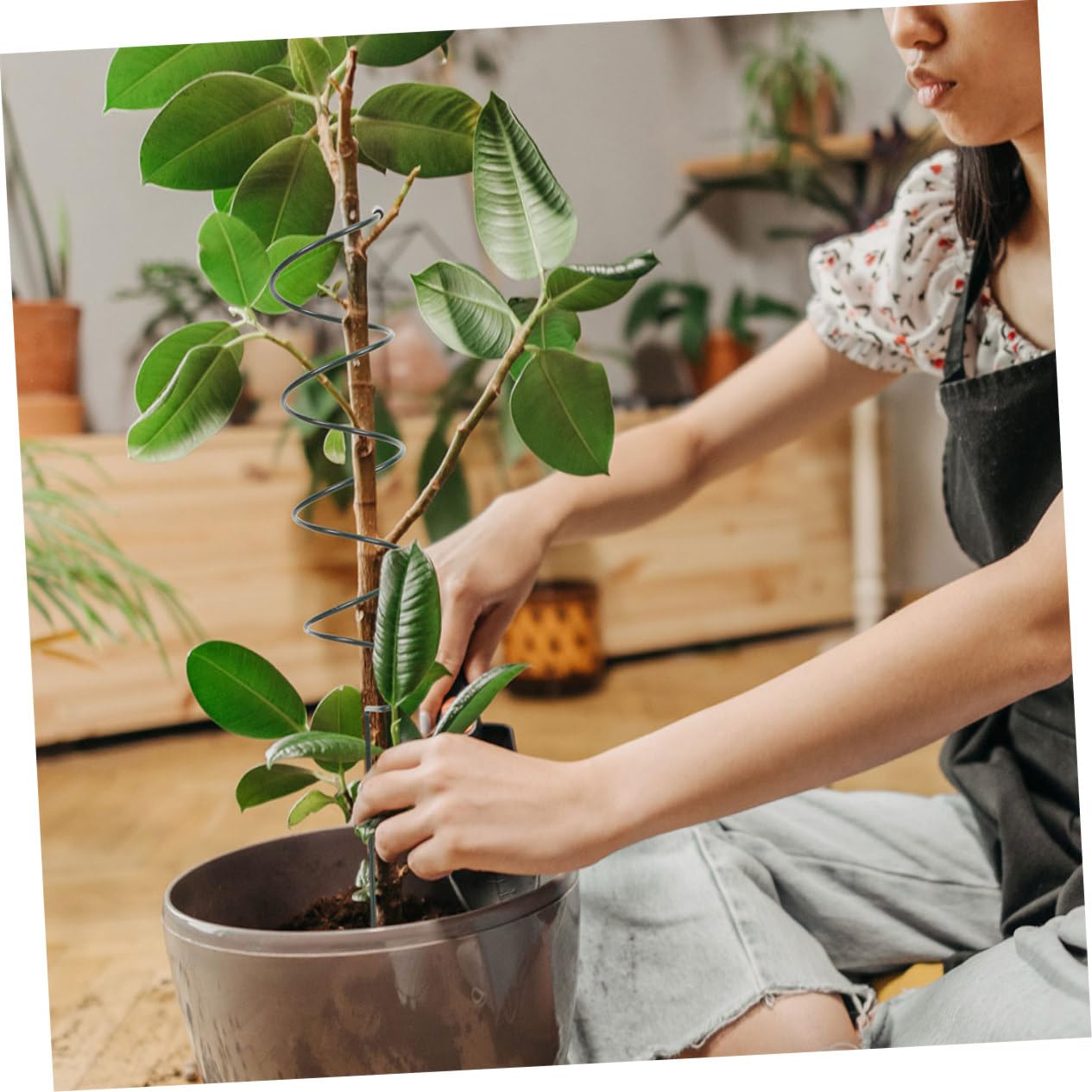 TOYANDONA 8pièces Tuteurs De Spirale pour Plantes De Jardin Supports De Tige De Plante Cadre De Support De Fleur pour Grimpantes