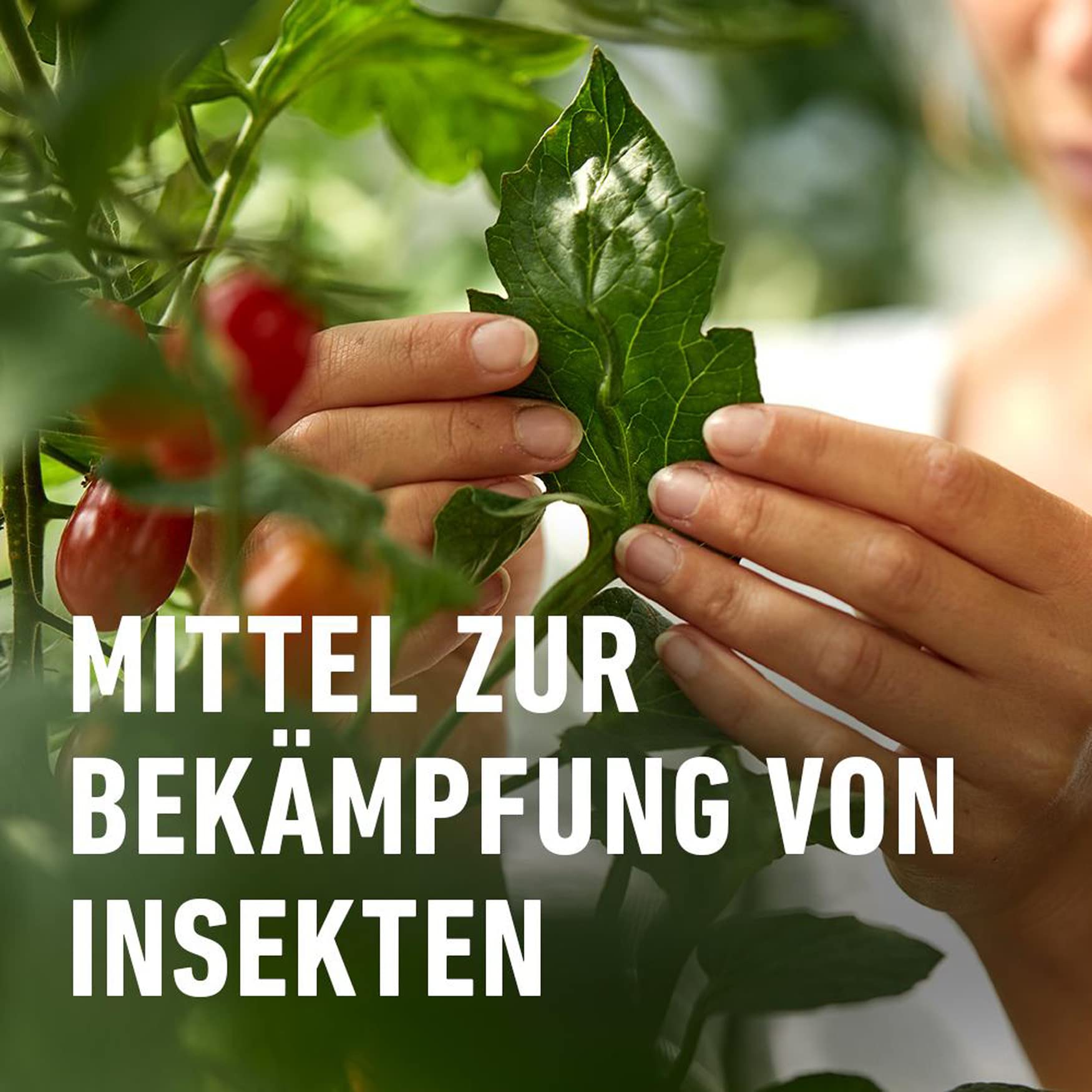 Vegetable Insect Control Organic Insect Control Vegetables Safer® Brand Tomato & Vegetable