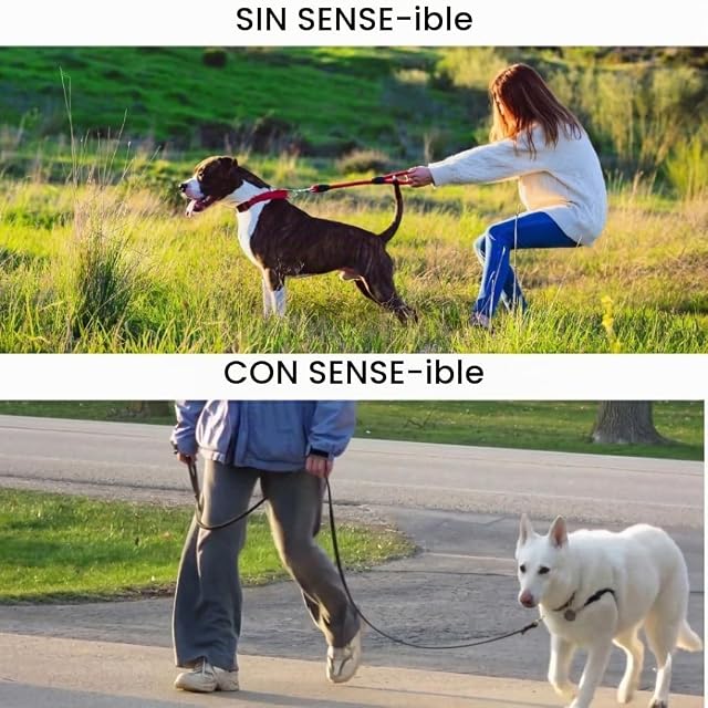 Foto 3 de 5 de Sense-ible no-pull Arnés perro M negro