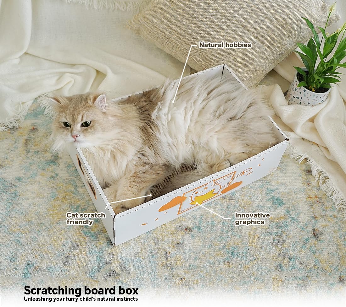 Cat Scratch Box with Double Sided Cat Scratching Board and Scratch pad for Cats - Corrugated Lounge Cat Cardboard Box for Indoor Cats to Scratch, Play, and Lounge