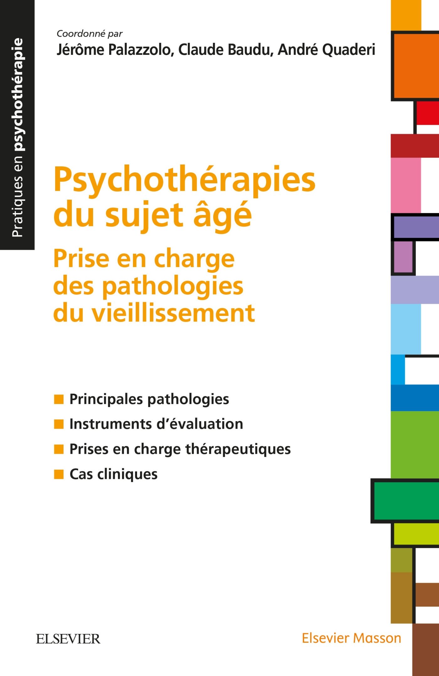 Psychothérapies du sujet âgé: Prise en charge des pathologies du vieillissement