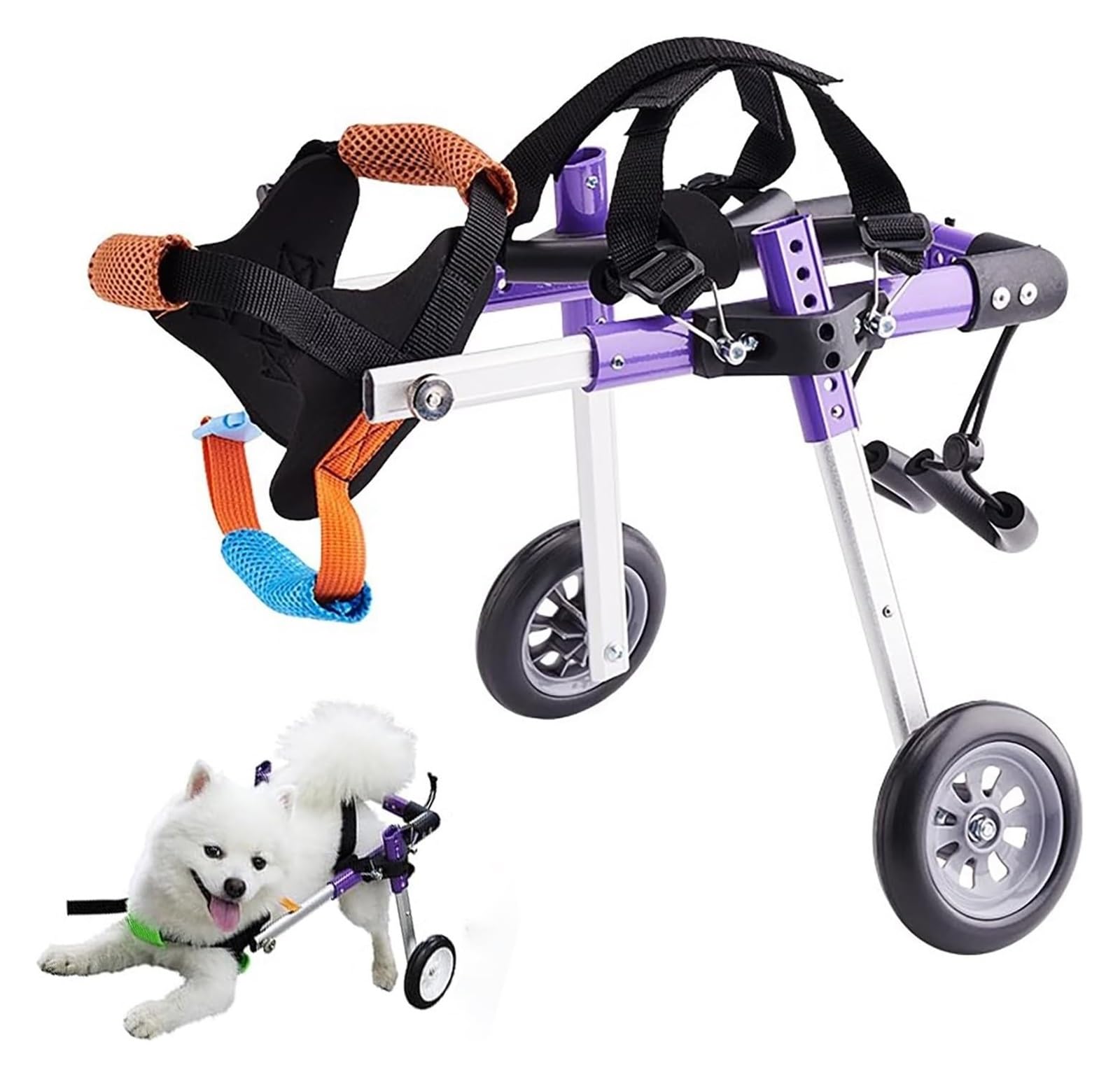 Silla de ruedas para perros con discapacidad: una segunda oportunidad para volver a correr