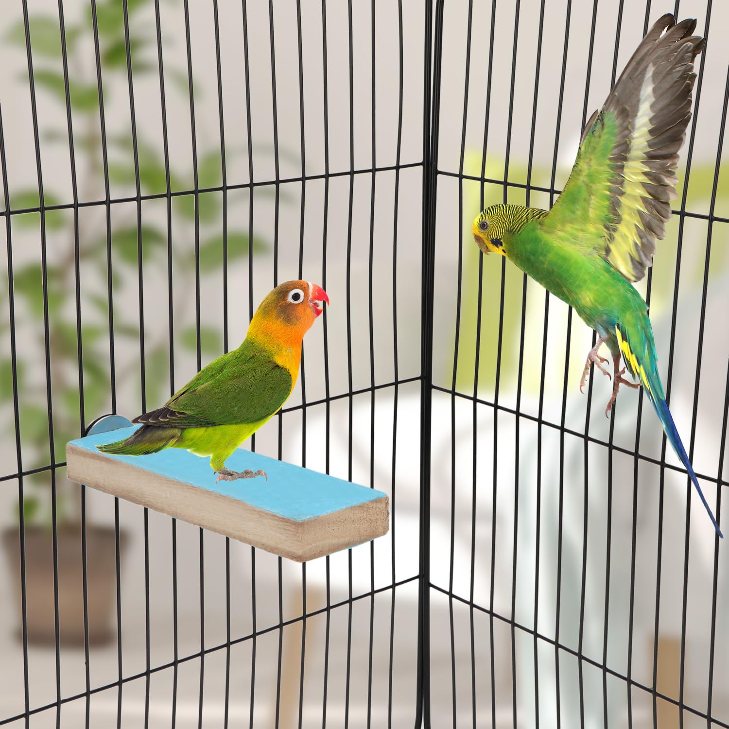VILLFUL - Juego De 6 Perchas De Madera Natural Para Jaulas De Pájaros - Para Periquitos, Agapornis Y Más - Varios Tamaños (12 A 30 Cm) - Instalación Fácil