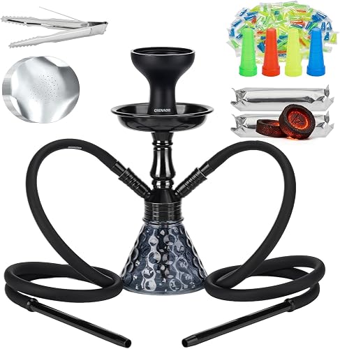 Premium迷你Hookah水烟套装 2 Hose