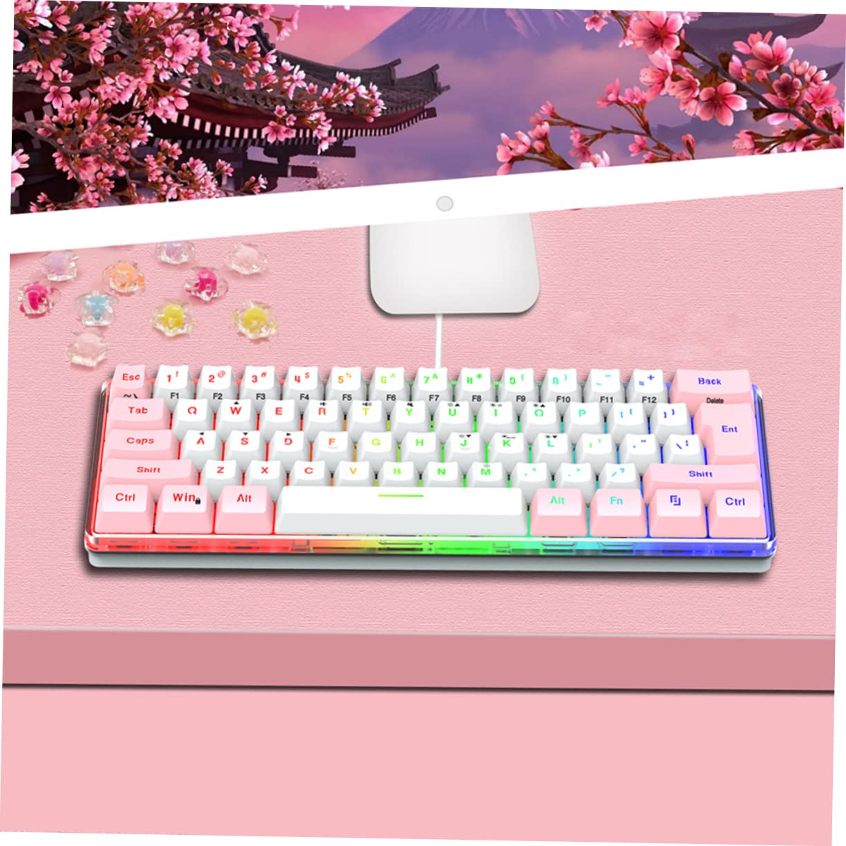 HEMOTON Tastiera Gaming Meccanica Compatta 61 Tasti Abs Rgb Multimediale | Tastiera Gaming Compatta, USB Interfaccia, per Gioco Multimediale, Design Compatto da 61 Tasti