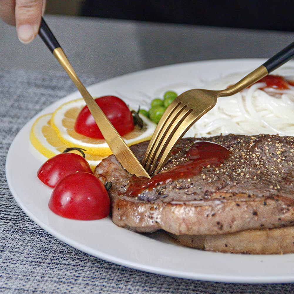 IQCWOOD Ceramic Dinner Plates Set of 6, 10.5 inch Dish Set Microwave, Oven and Dishwasher Safe, Scratch Resistant, Kitchen Porcelain Serving Dishes, White Dinner Plates Restaurant Dishes