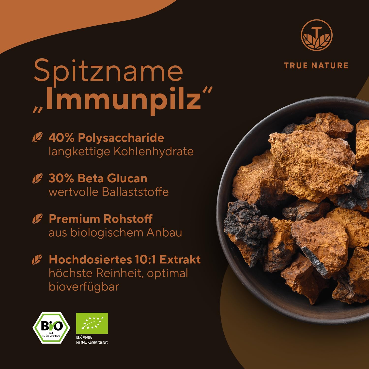 BIO Chaga Pilz Extrakt - 180 Kapseln - 12.000mg Extrakt (10:1) - 40% Polysaccharide - 30% Beta Glucane - Schiefer Schillerporling Pulver - Vegan, Deutsche Produktion - TRUE NATURE®