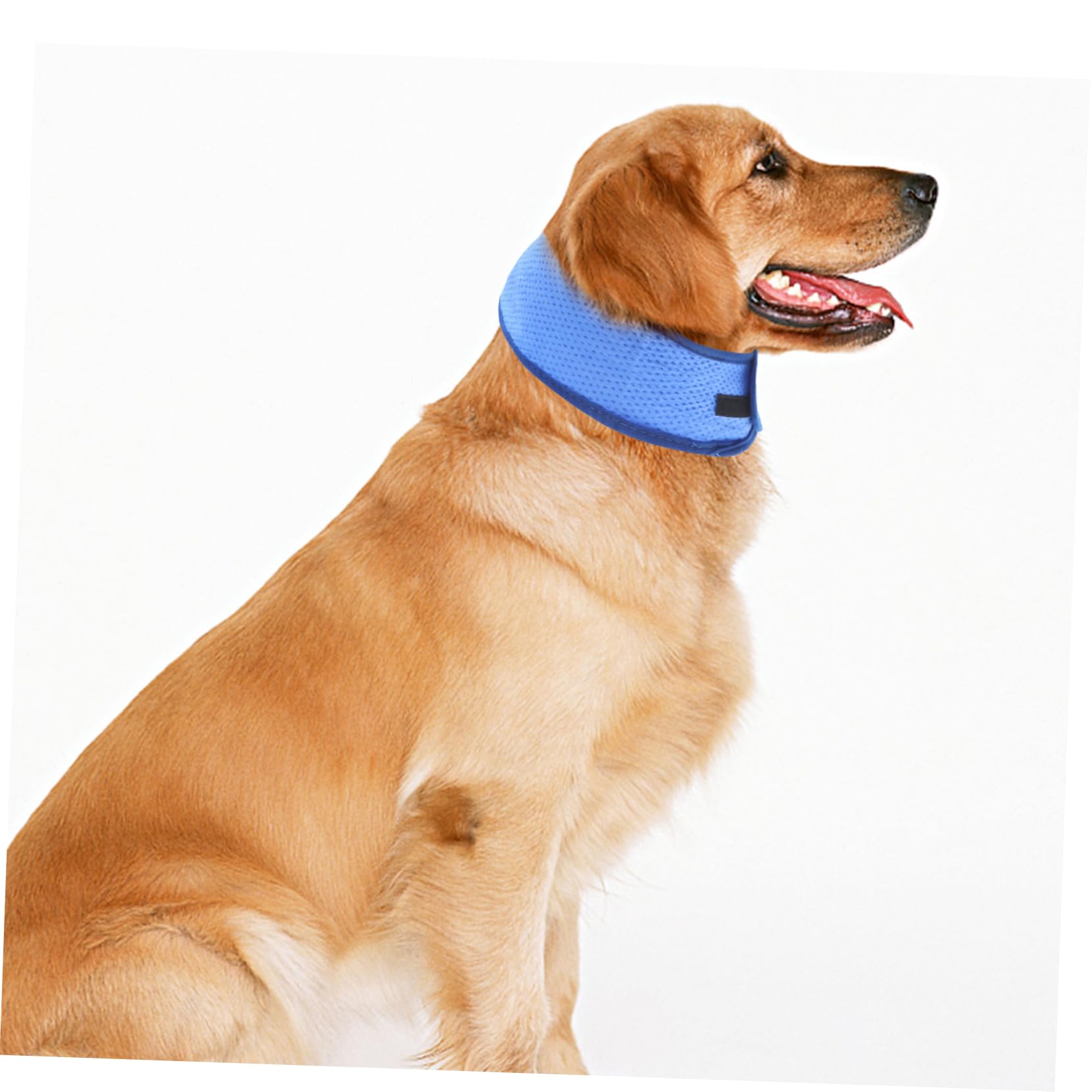 Kisangel 5stücke Kühlendes Hundehalsband Aus Atmungsaktivem Material Für Heiße Sommertage Bietet Angenehme Kühlung Für Hunde Mit Dickem Fell Zufälliger Stil