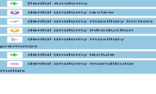 Dental Anatomy