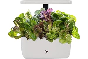 AeroGarden Harvest 2.0: Indoor Hydroponic Garden for Lush Herbs and Vegetables