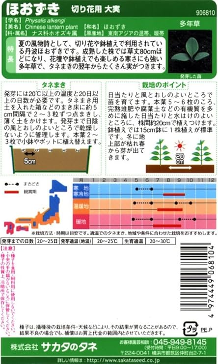 Amazon サカタのタネ 実咲花6810 ほおずき 切り花用大実 花