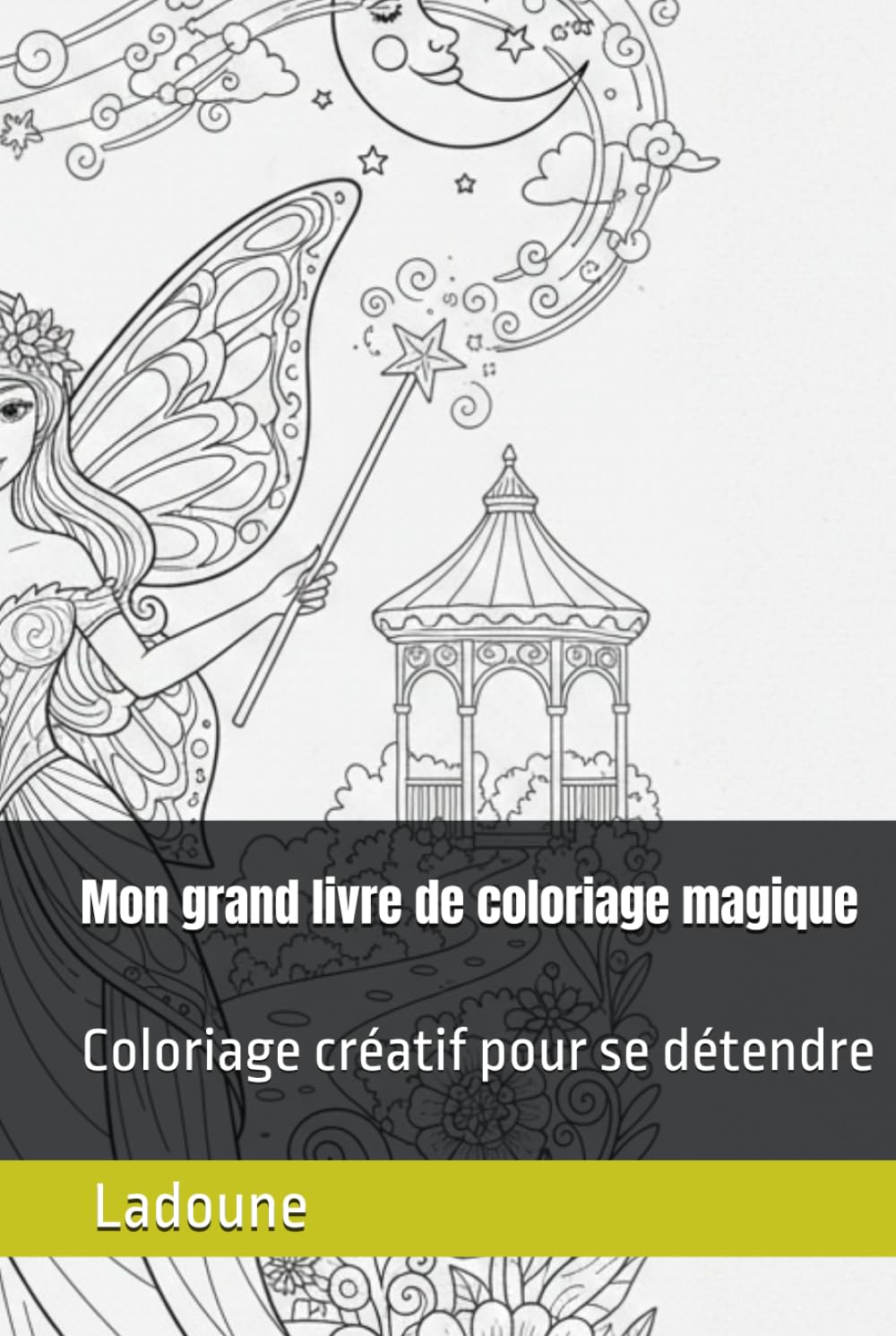 Mon grand livre de coloriage magique: Coloriage créatif pour se détendre