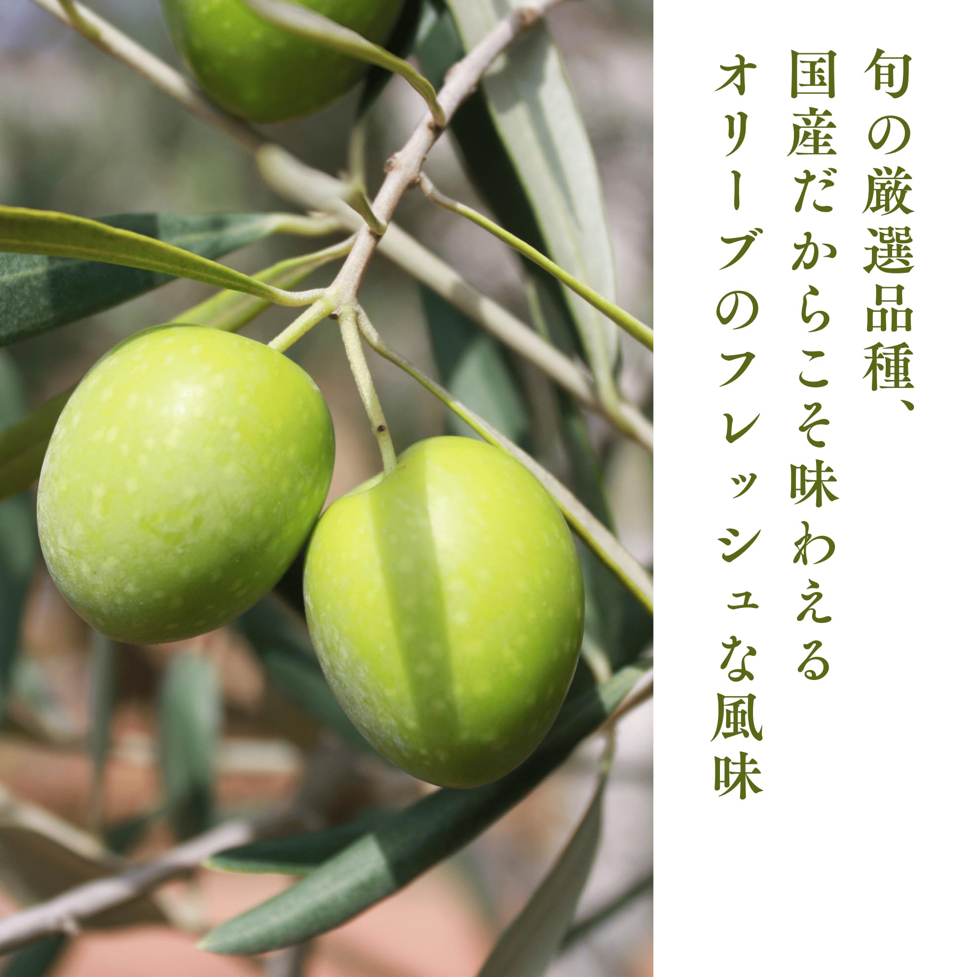 Amazon | 【賞味期限2026/1/30】 小豆島オリーブの新漬 (75g×2袋) 石垣