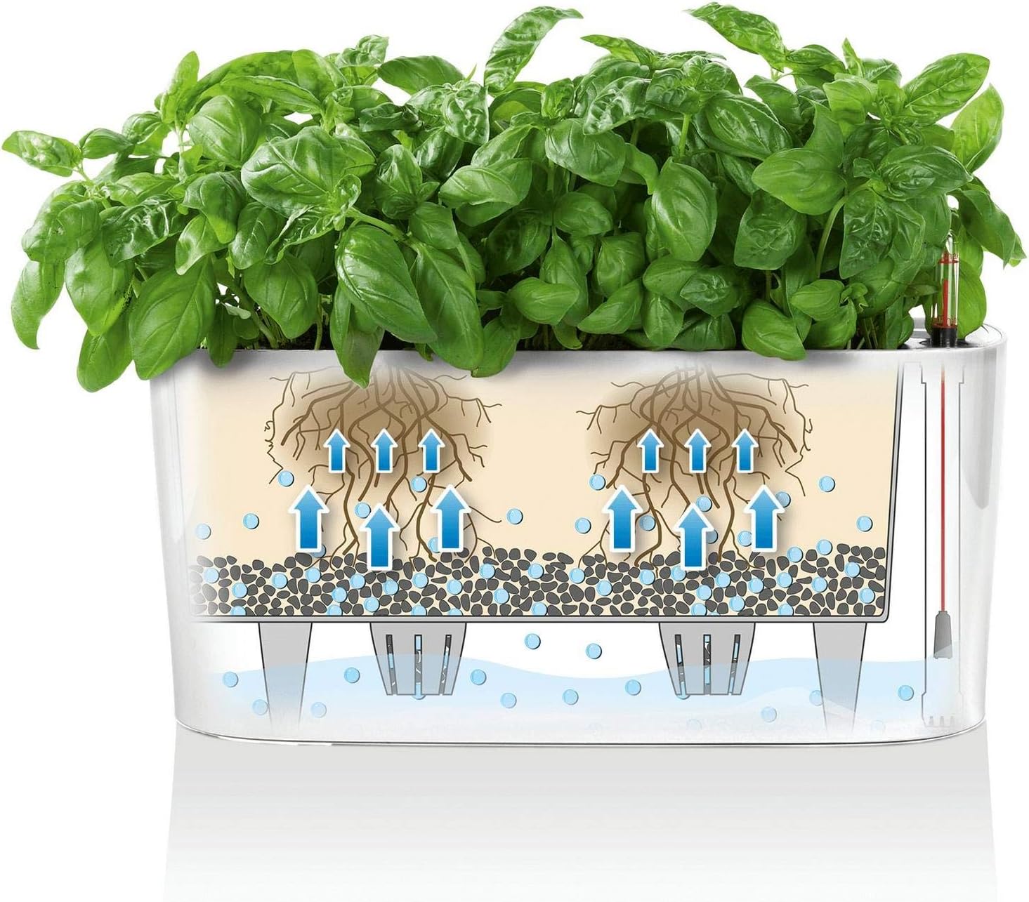 Lechuza Delta 20 Cream White High Gloss, Self-Watering Planter Indoor, H7.1 L15.7 W5.9 in