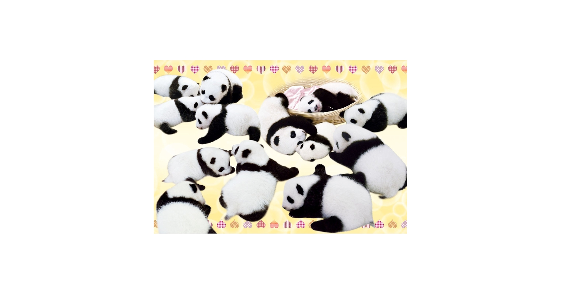 71TJeOhW7OL.jpg_BO30,255,255,