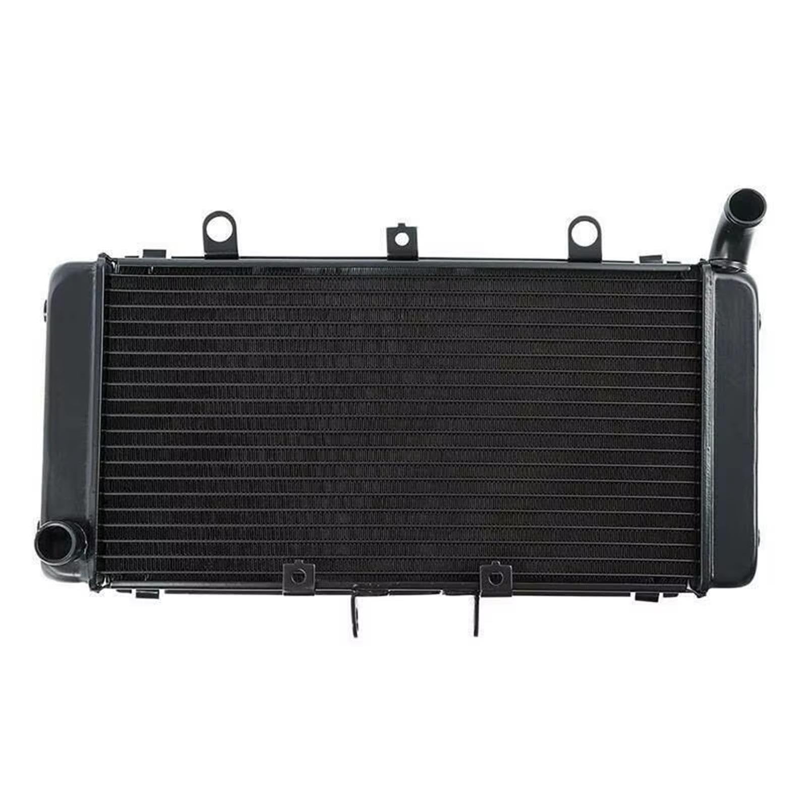 Serbatoio Espansione Liquido Raffreddamento Moto Per CB1300SF 2003-2024