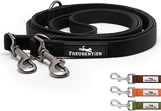 FREUDENTIER Hundeleine 2m – Verstellbare Führleine - Weich gepolstert, liegt angenehm in der Hand - Robuste Leine Hund für mittelgroße & große Hunde - Model Clyde (Schwarz, 20mm)