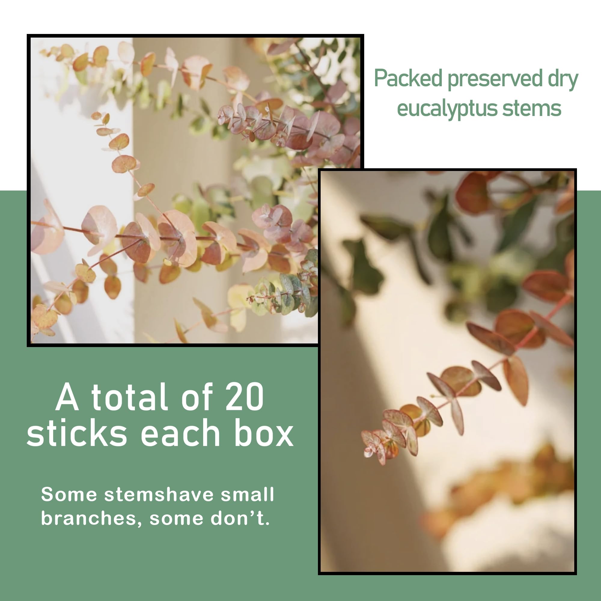 (20 pièces) tiges d'eucalyptus séchées – Rouge, véritable eucalyptus long, fleurs séchées pour vase, arrangement floral de 45,7 cm, mariage (jaune)