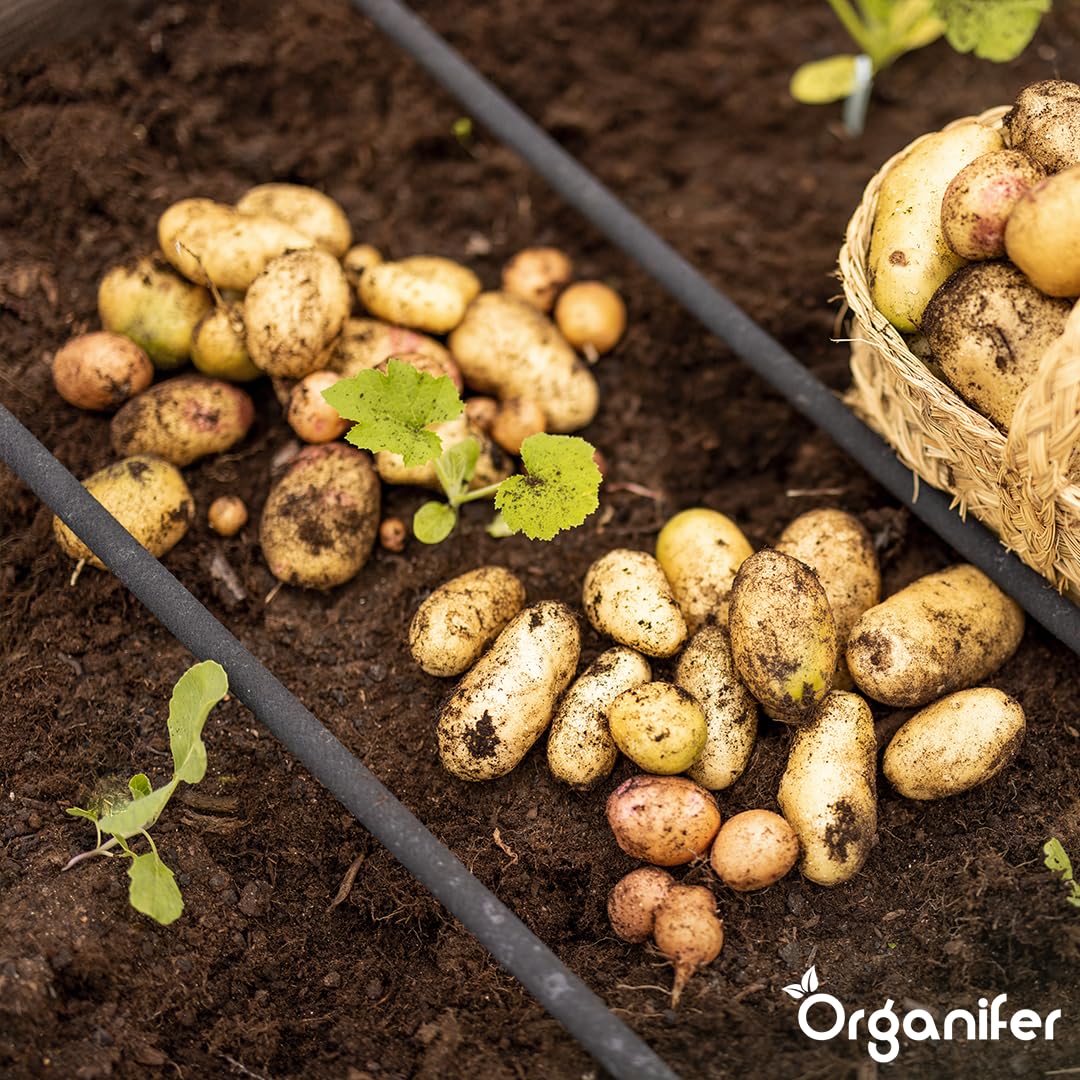 Fertilizante Líquido Para Patata 2L – Abono Orgánico Para Hojas Saludables Y Crecimiento Fuerte – Refuerza Raíces Y Vitalidad – Organifer