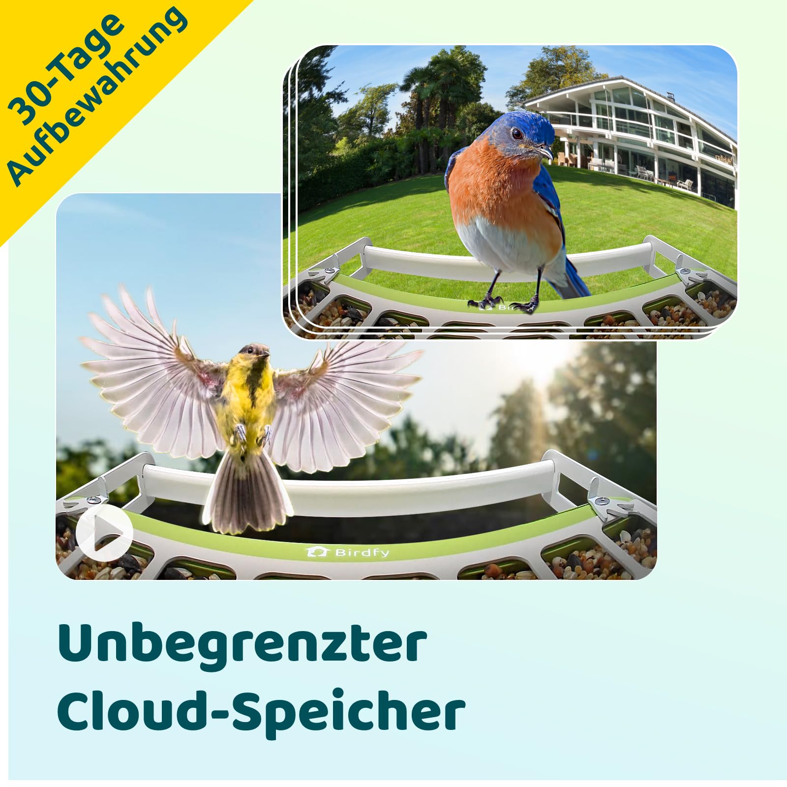 Birdfy Metall Vogelfutterhaus mit Kamera zur Live-Vogelbeobachtung, KI Vogelerkennung ohne ABO, 1080P Kabellos Vogelfutterstation mit Farbnachtsicht, Echtzeit-Benachrichtigung, Solarbetrieb