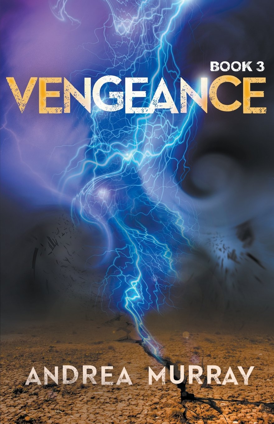 Buy Vengence: 3 (The Vivid Trilogy) — BookShops.in