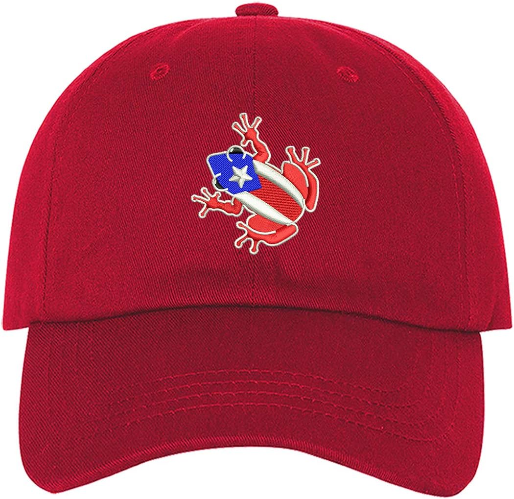 PRFCTO Coqui Puerto Rico Flag Unisex Baseball Hat - Coqui PR Flag Hat, Puerto Rican Hat