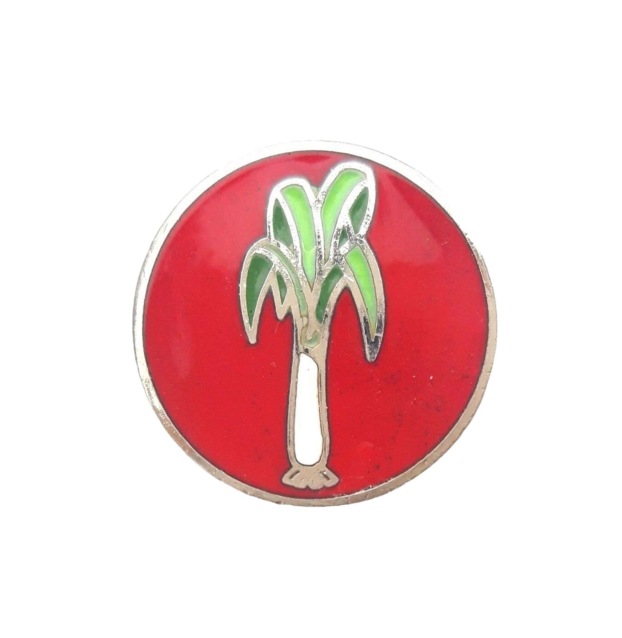 Wales National Leek Small Round Enamel Lapel Pin Badge T310