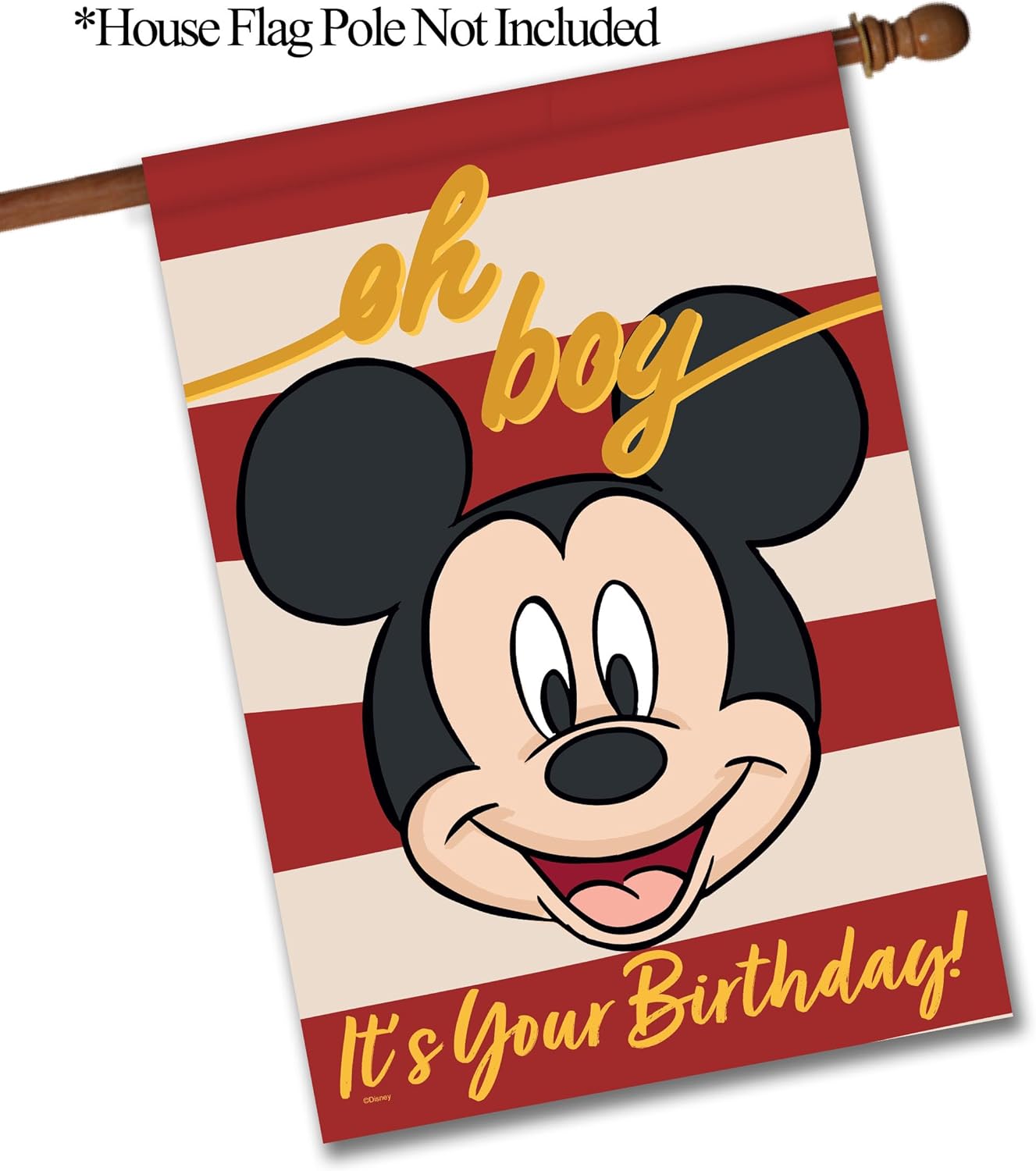 Flagology.com, Disney Mickey Mouse Oh Boy It's Your Birthday – House Flag 28" x 40", Outdoor Flag, Exclusive Premium Fabric, Officially Licensed Disney, Birthday