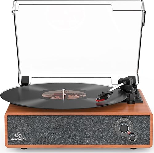 Reproductor de discos de vinilo Altavoces estéreo incorporados Tocadiscos vintage