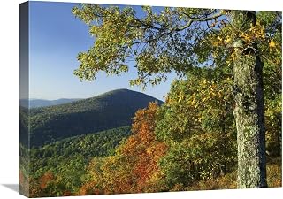 18 x 24 in. Broadleaf Forest in Fall Colors As Seen from Doyles River Overlook, Shenandoah National Park, Virginia Art Print - Tim Fitzharris