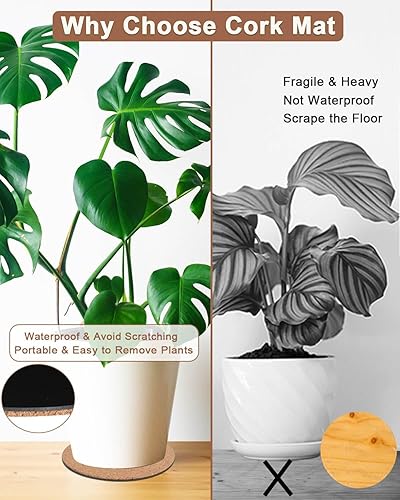 Miniatura 5 de Posavasos y platillos de corcho de 6 pulgadas, tapetes redondos absorbentes para macetas de interior, macetas, plantas de interior, protector de