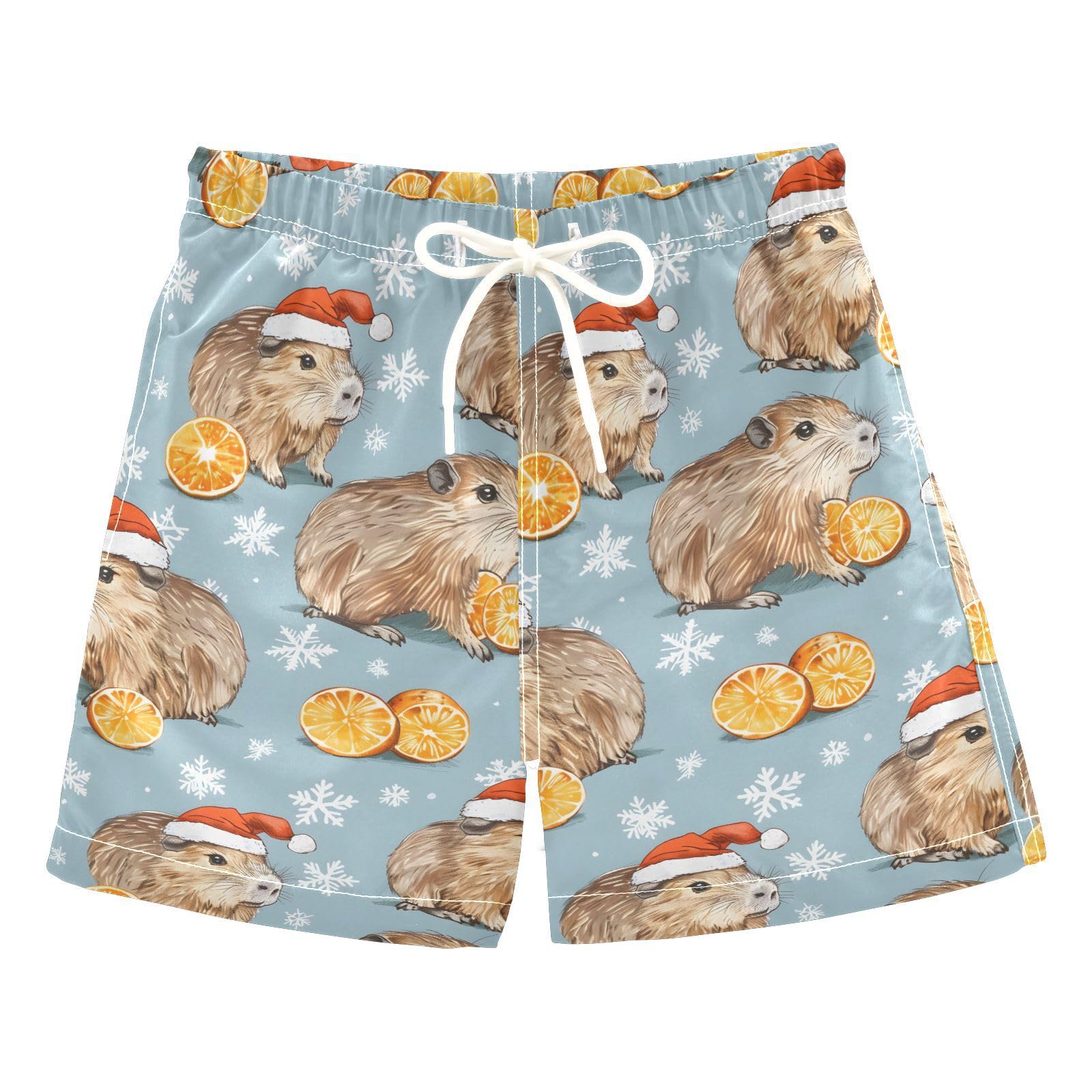 ALAZA Capybaras Lemon Snowflake Boys Quick Dry Beach Board Shorts Kids Swim Trunks Bathing Suit Swimsuit 2T