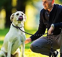 Vista 7 de Correa para Perro, Correas para Perro Resistentes de 6 Pies, Correa Deslizante de Cuerda Fuerte de Calidad Premium Duradera con Mango Acolchado