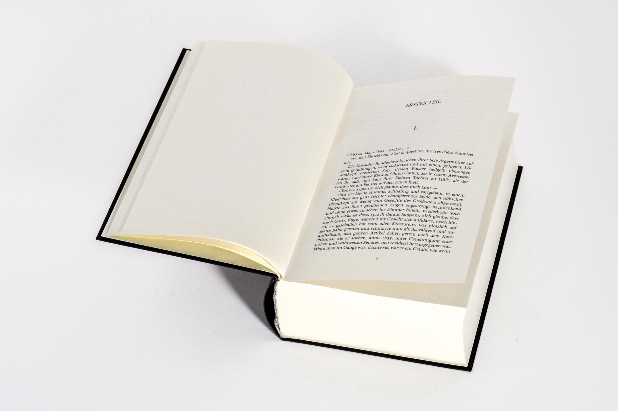 Buddenbrooks. Verfall einer Familie. Roman: Manns legendärer Debütroman, der ihm den Literaturnobelpreis einbachte