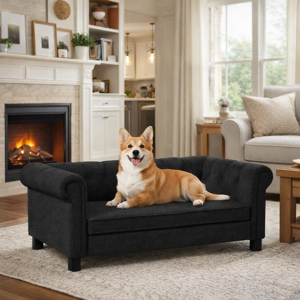 Elevated Dog Sofa Couch Bed with Backrest & Armrests, Button Tufted Modern Upholstered Pet Couch Chair for Small & Medium Dogs (Black)