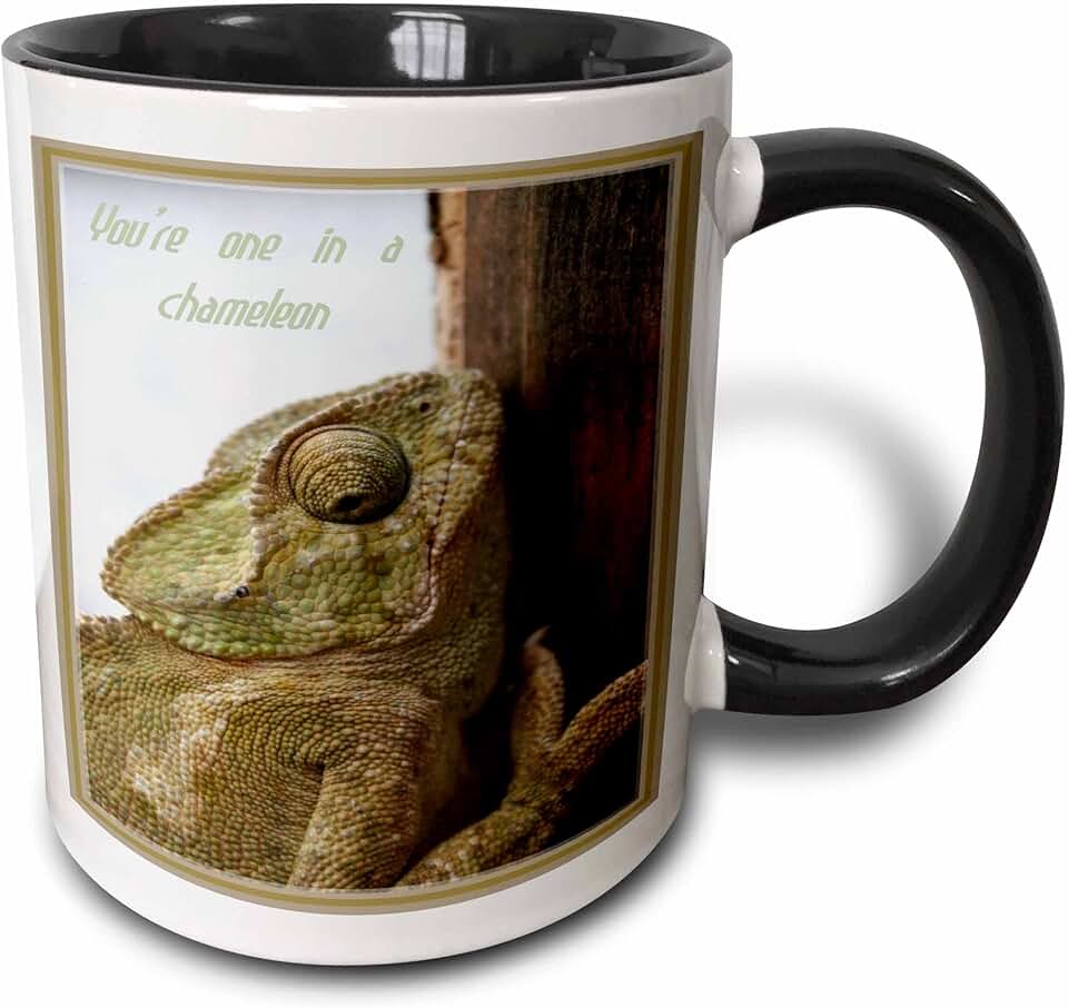 3dRose One In A Chameleon- one in a million, rare, extraordinary, chamaeleonidae, chameleon 11oz Two-Tone Black Mug