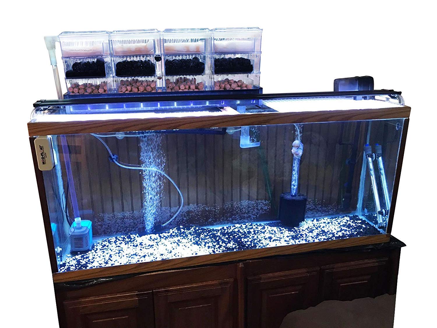 AE-SHOP Aquarium Filter Fish Tank Upper Trickle Box Filters System Productos para animales
