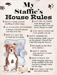 Metal Sign Plaque Dog House Rules My Staffie's Pet Home Bar Man Cave Garden Shed Garage Pub Decor Shed Garage size 10x8in ref8217