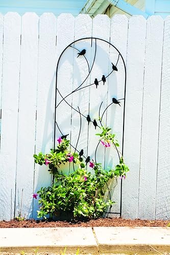 Miniatura 2 de Enrejado de pájaros posados de 72 pulgadas