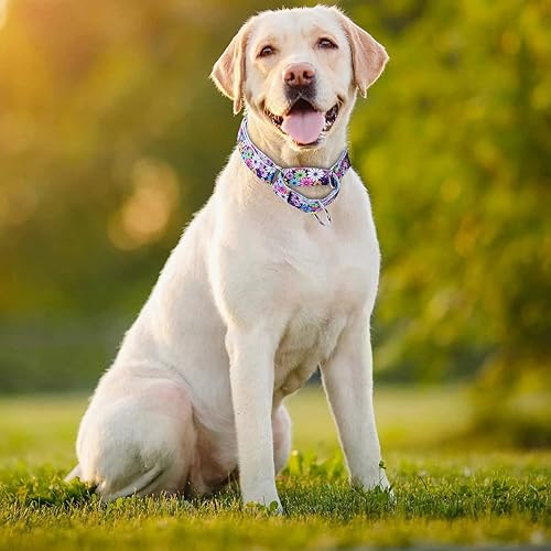 Miniatura 2 de Pimaodog Collar de perro de nailon resistente, collar de perro Martingale ajustable para entrenamiento de caminar, perros niños y niñas, perros