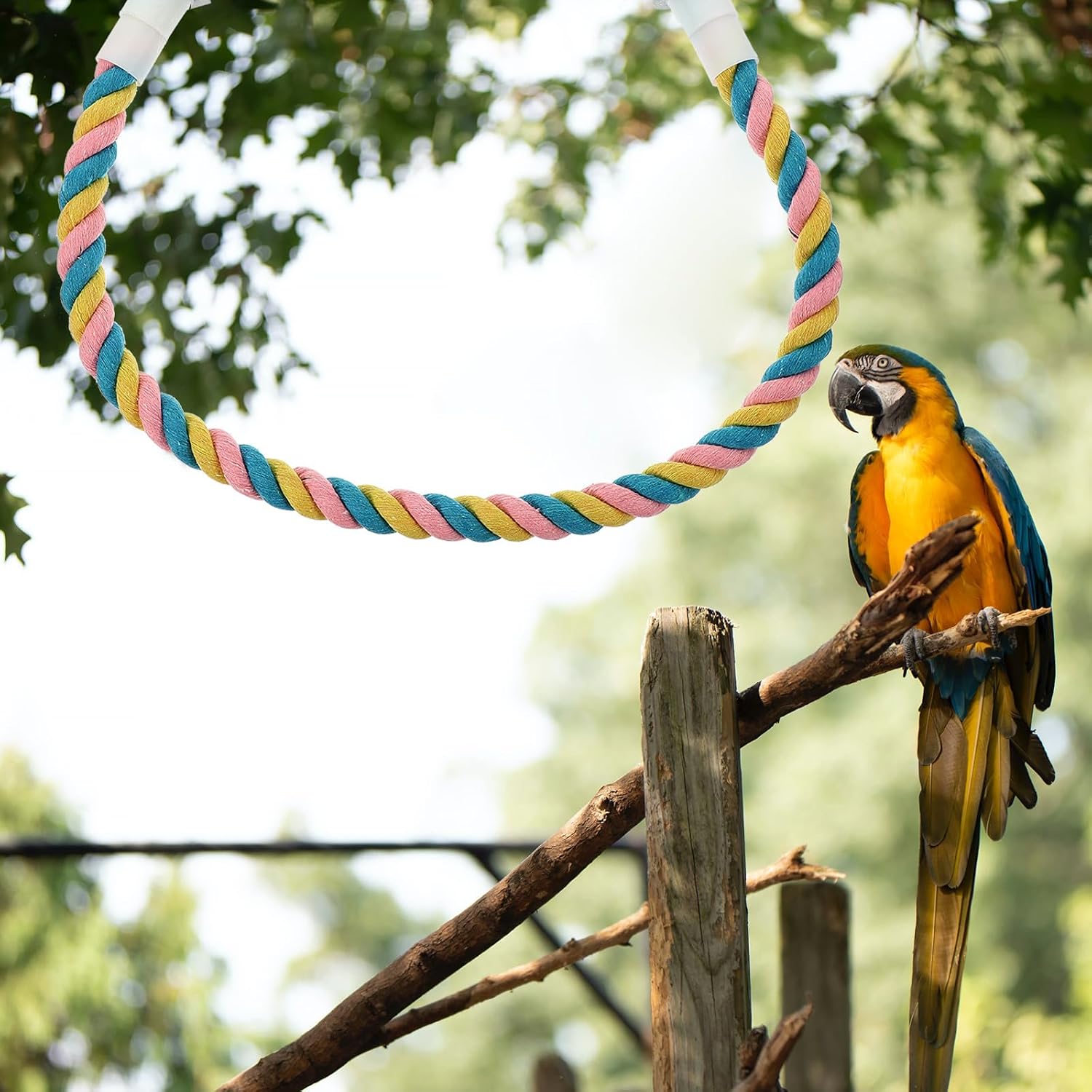 Parakeet Rope Perch for Birds, Flexible Cotton Rope Climbing image 4