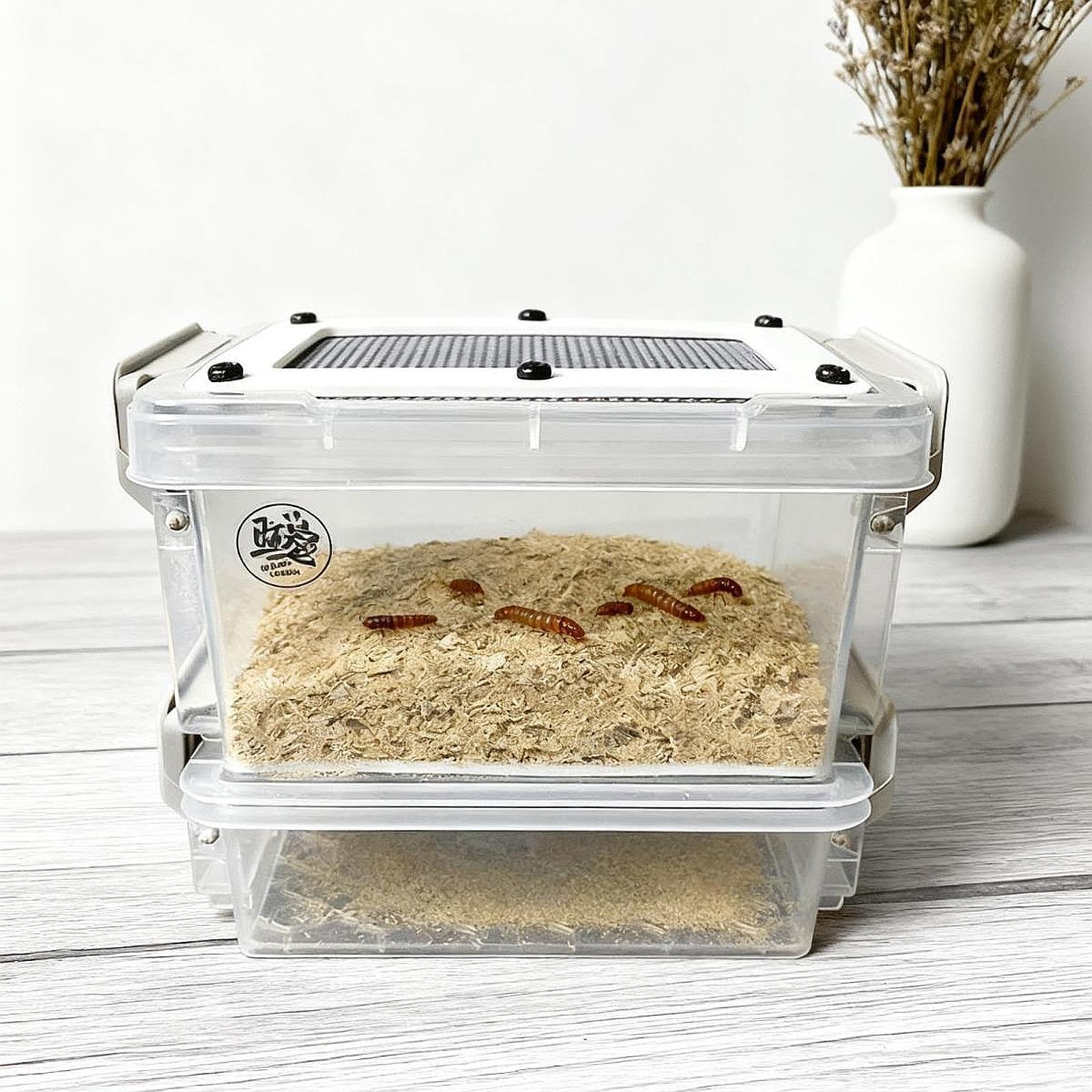 Amazon | Generic コオロギ飼育ケース 餌昆虫繁殖容器 ポータブル