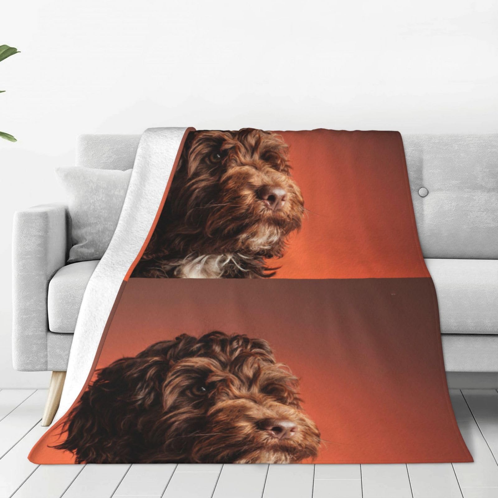 Vhomes As Picture Blanket Adorable Cockapoo Dog Soft Throw Blanket All Season Warm Blankets Lightweight Fuzzy Flannel Throws For Bed Sofa Couch 150X125 Cm