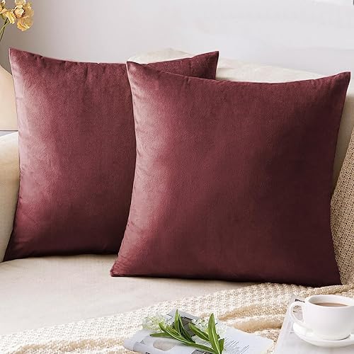 Juego de 2 fundas de almohada de terciopelo de 20 x 20 pulgadas, fundas de almohada decorativas suaves y cuadradas para sofá, dormitorio, automóvil,