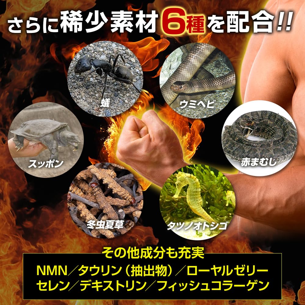 新品 SIZEUP-α HARD MAX サイズアップアルファハードマックス 日本サプリメントフーズ SIZEUP α HARD MAX メンズサプリメント 30日分
