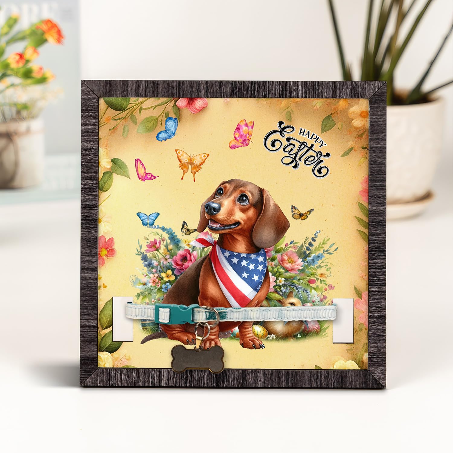 HOUND DOG 35th ANNIVERSARY★
HOUND DOG Basset Hound Puppies - PetCenter Old Bridge Puppies For Sale