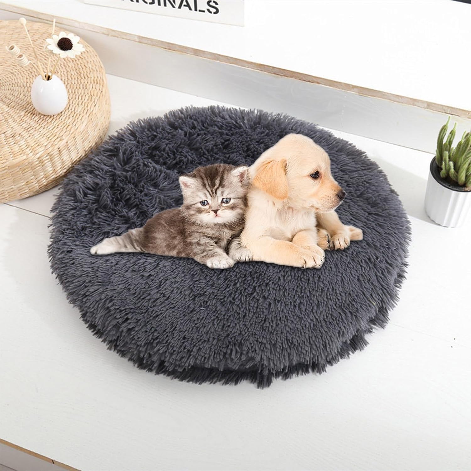review Dog Bed Dog Beds for Small Dogs Prime of Day Deals Round Pet Beds Washable Donut Cat Bed Cat Bed Self Warming Fluffy Soft Anti Dog Anxiety Dog Beds