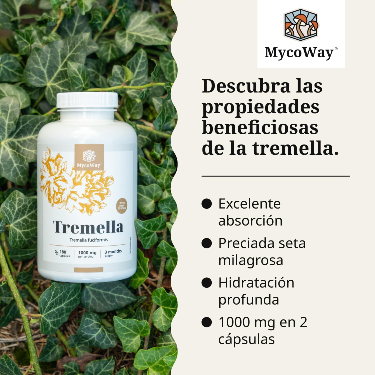 Tremella 1000 mg – Extracto – Tremella Fuciformis – 180 cápsulas vegetales – 10% de betaglucano – «Hongo de la belleza» asiático – Hidratante natural