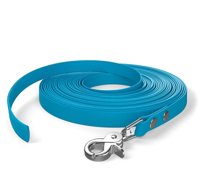 Correa de Arrastre de 10 m, Correa para Perros, 1 mosquetón, Azul Cian, Muy Resistente